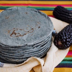 ブルーコーントルティーヤ, Blue Corn Tortillas  5″